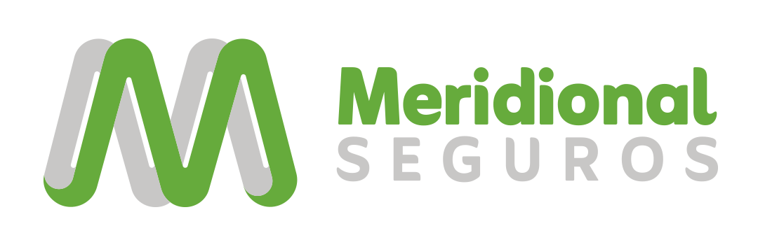 Logo Meridional